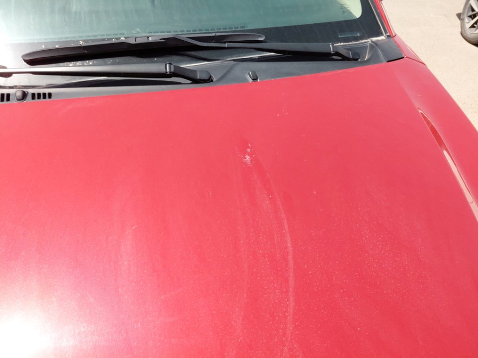 Toyota Yaris Y 2024 image