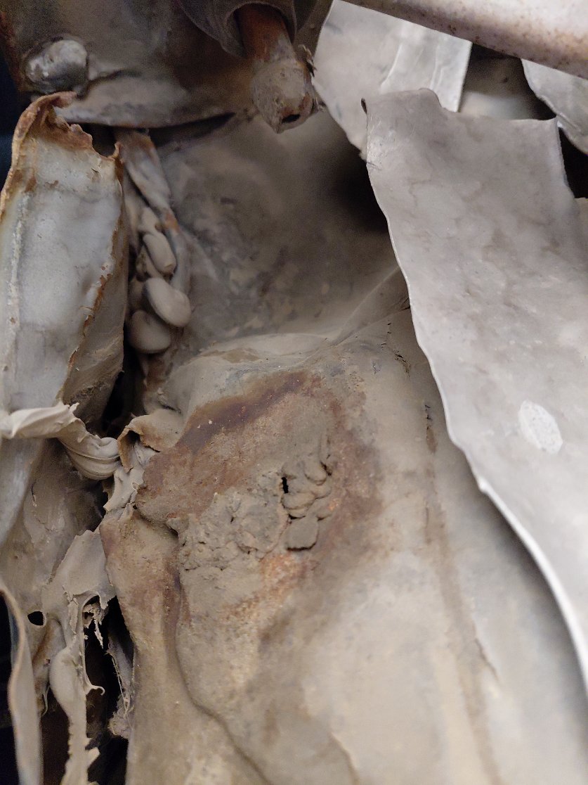 Toyota Corolla  2006 image