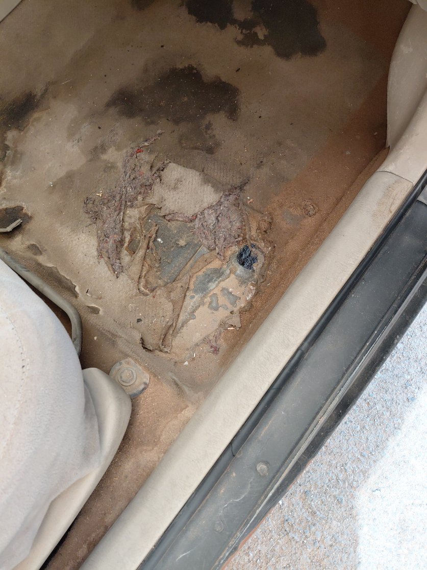 Toyota Corolla  2006 image