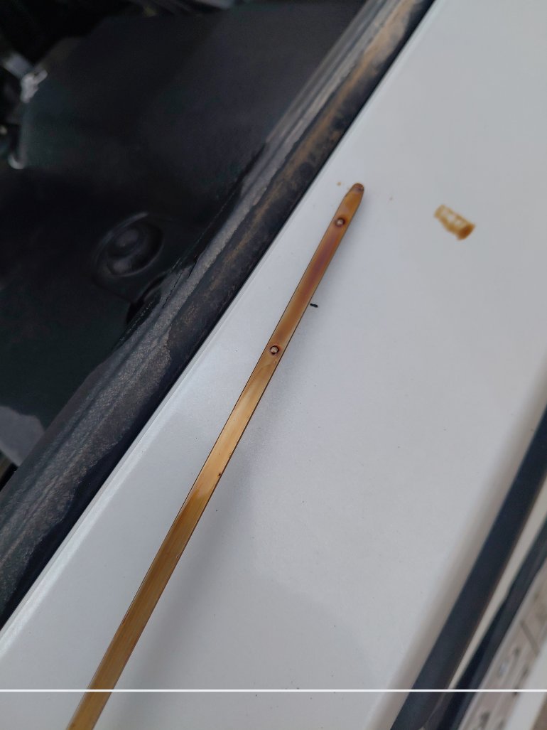 Toyota Yaris Y 2024 image