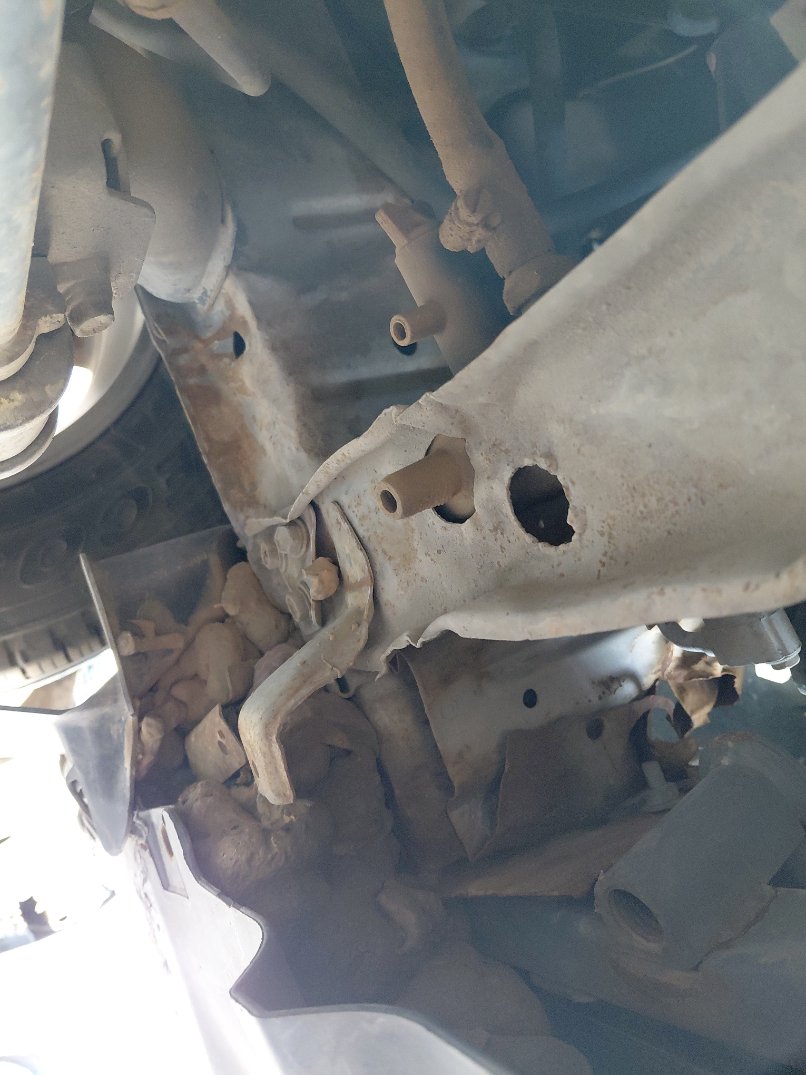 Daihatsu Terios  2010 image