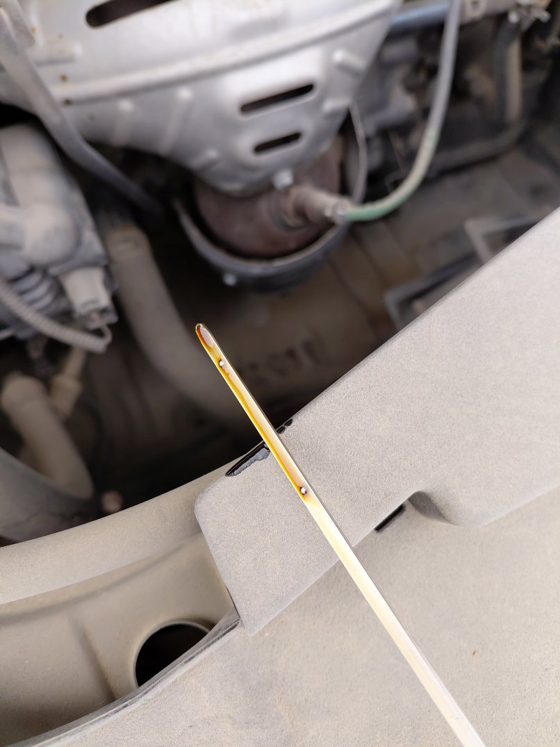 Toyota Yaris Y 2024 image