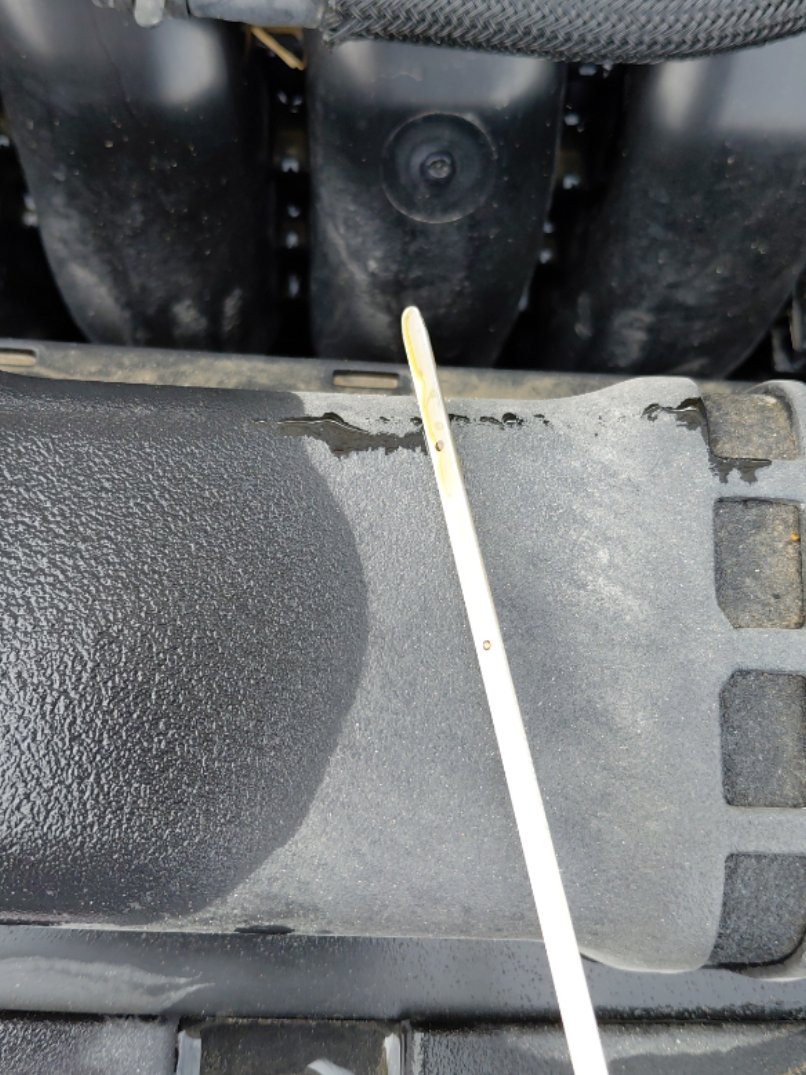 Toyota Corolla XLI EXE M/R 2024 image