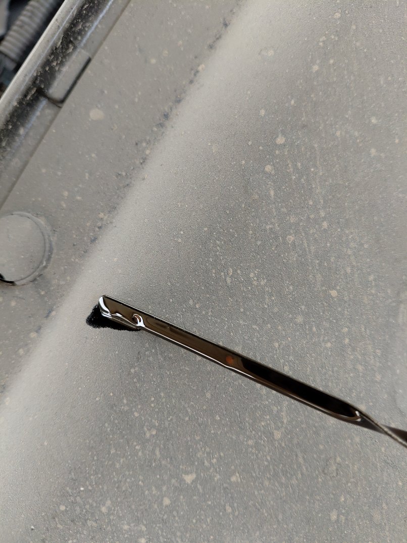 Ford Taurus  2022 image