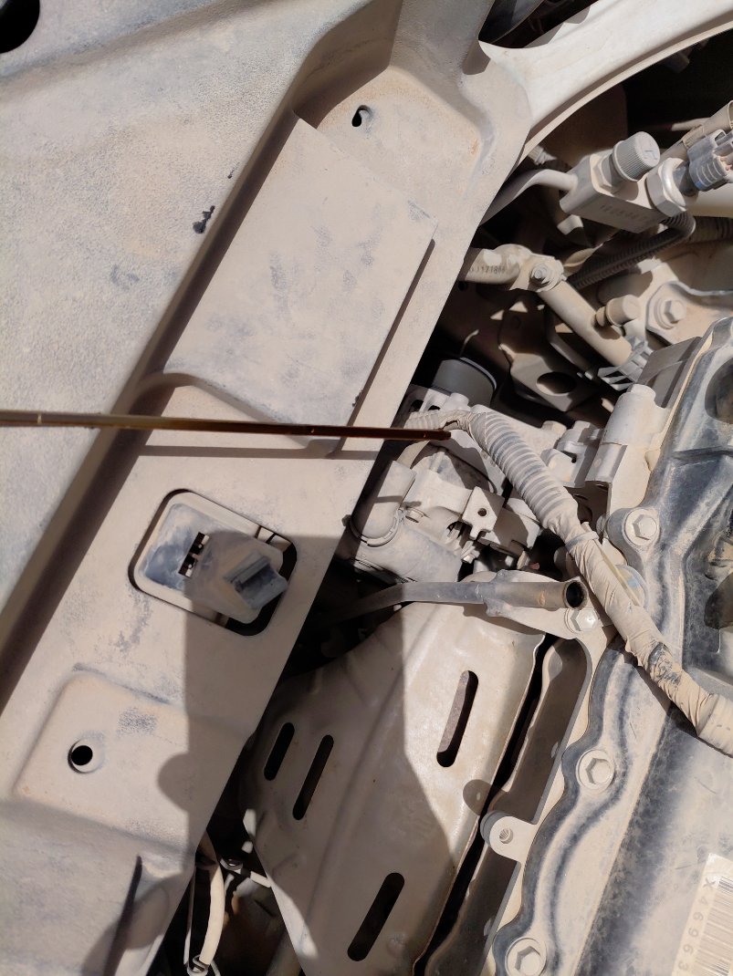 Toyota Yaris Y 2019 image