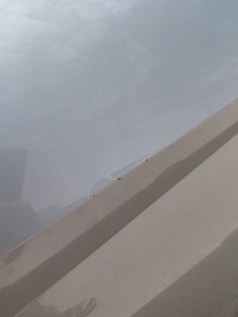 Hyundai Elantra GL 2023 image