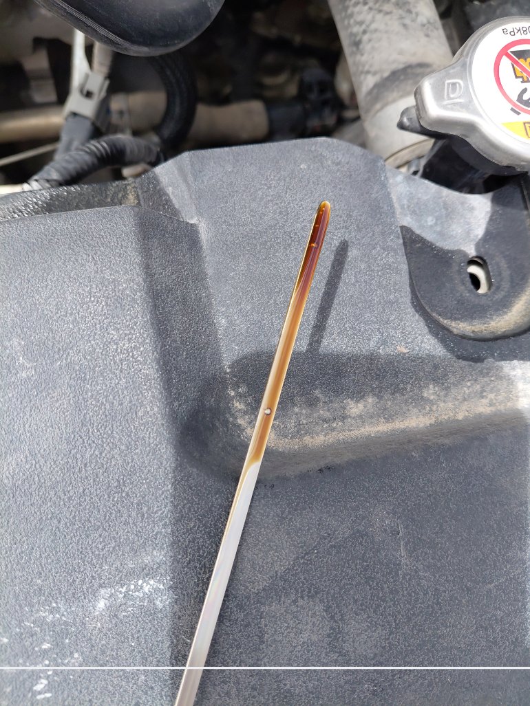 Toyota Yaris Y FLT 2021 image