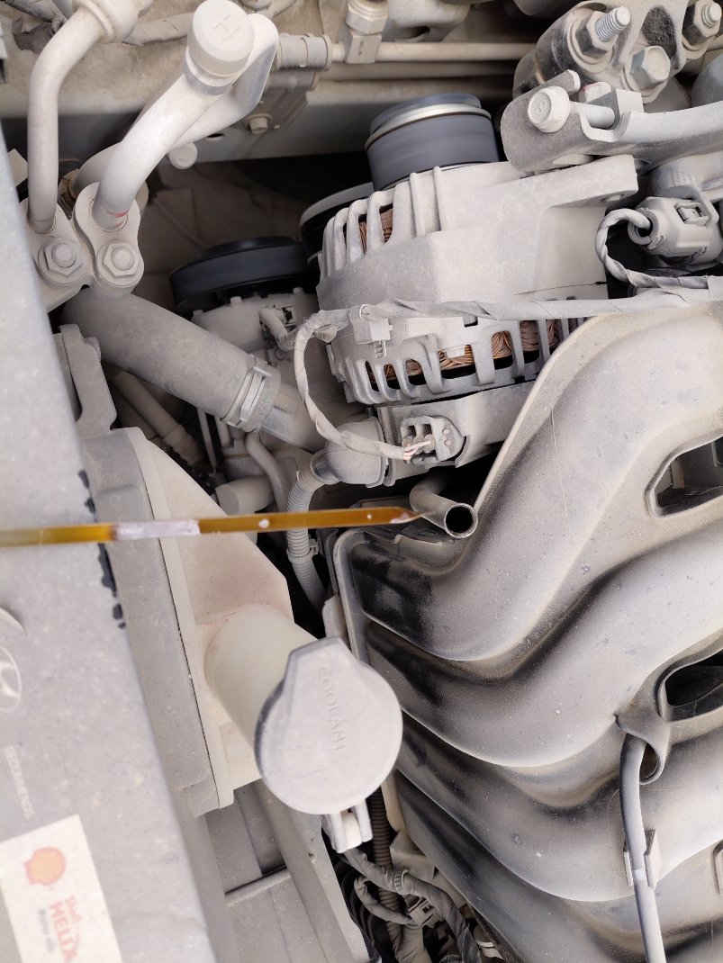 Hyundai Elantra  FLEET 2021 image