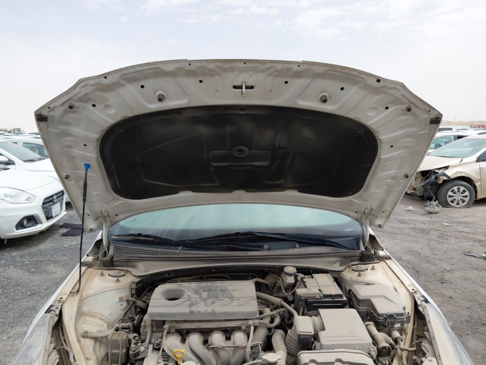 Hyundai Elantra  FLEET 2021 image