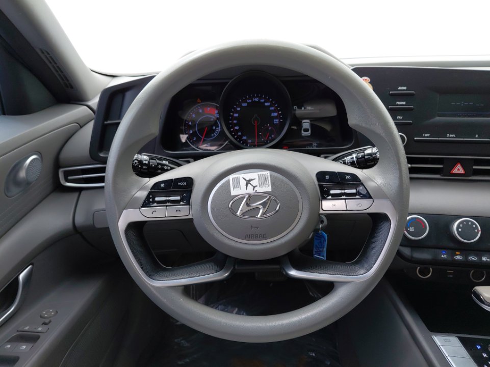 Hyundai Elantra  FLEET 2021 image