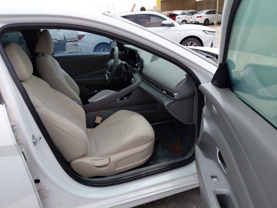 Hyundai Elantra  FLEET 2021 image