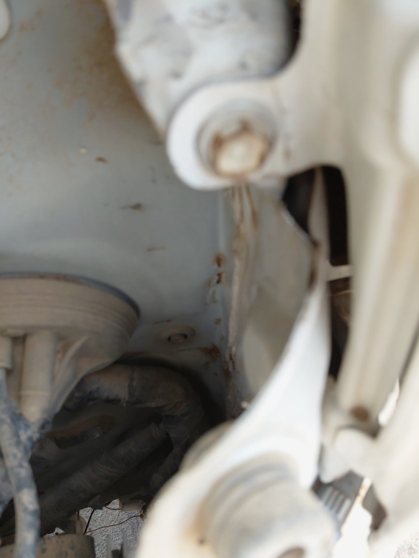 Toyota Hiace Bus  2011 image