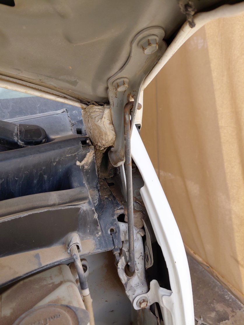 Toyota Hiace Bus  2011 image