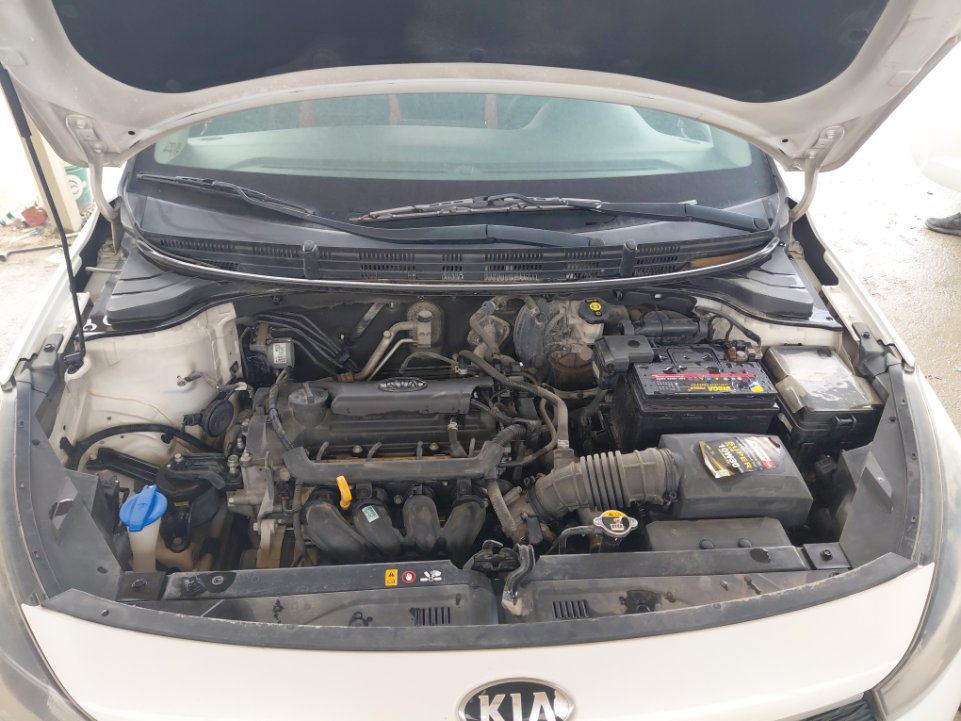 KIA Rio ال اكس 2019 image