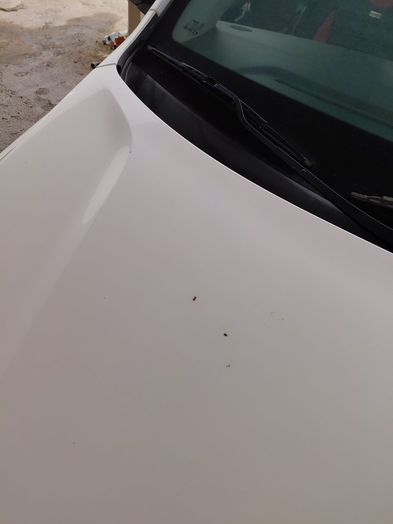 KIA Rio ال اكس 2019 image