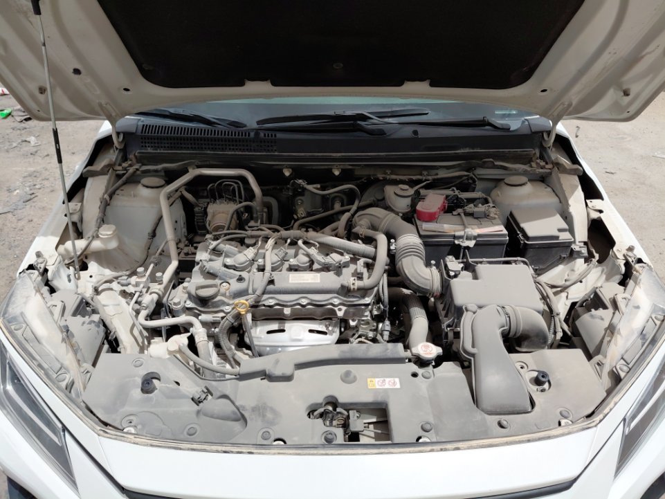 Toyota Yaris Y PLUS  2024 image