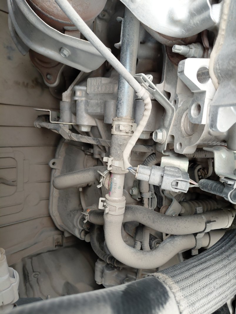 Toyota Yaris Y PLUS  2024 image