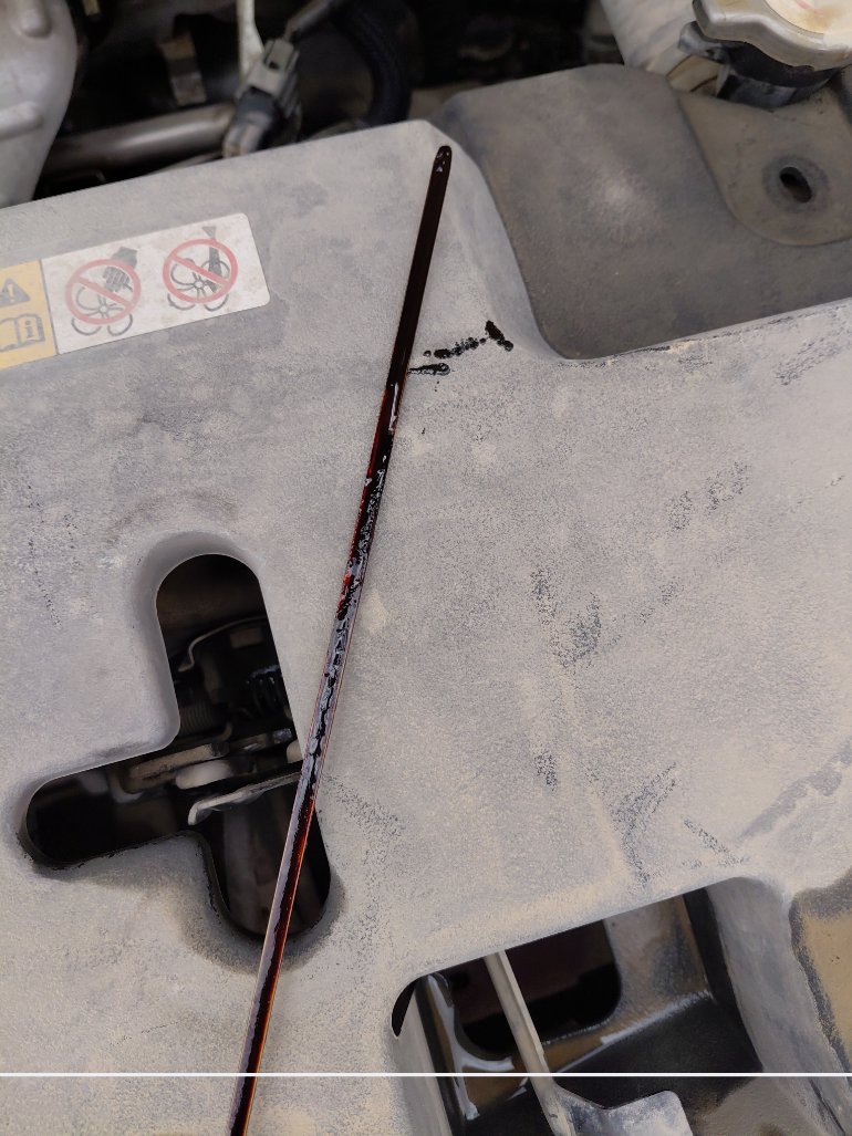 Toyota Yaris  Y 2020 image