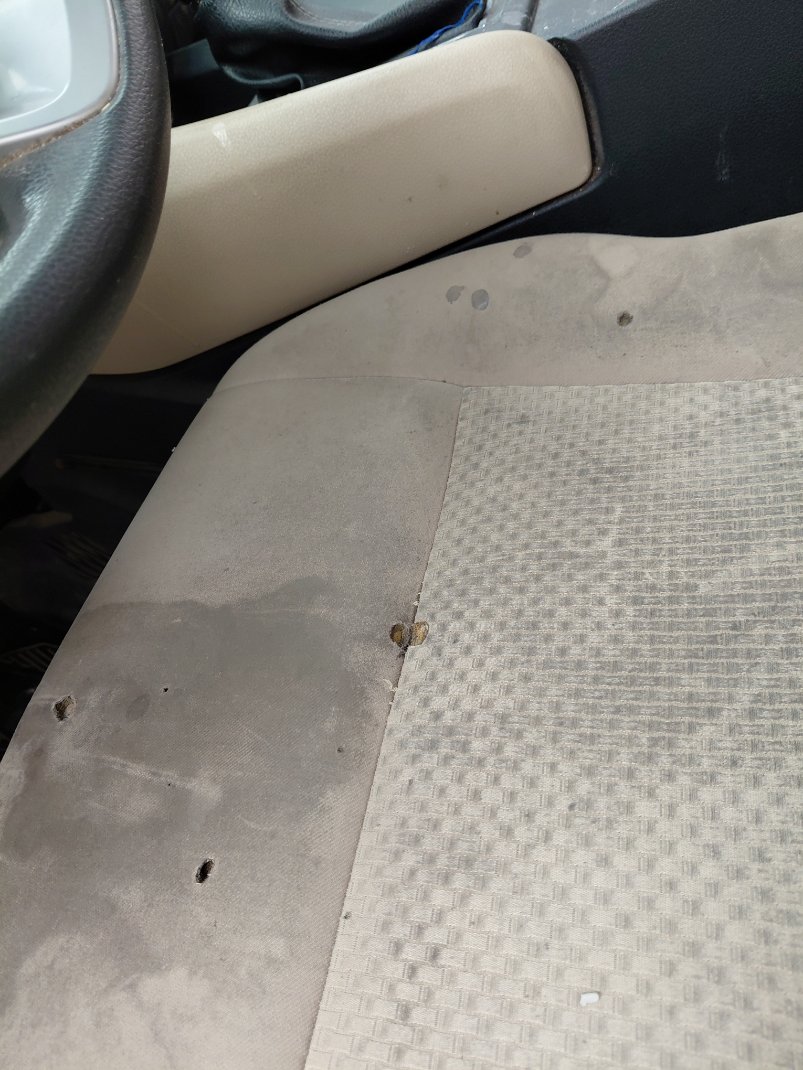 Toyota Yaris Y PLUS  2024 image