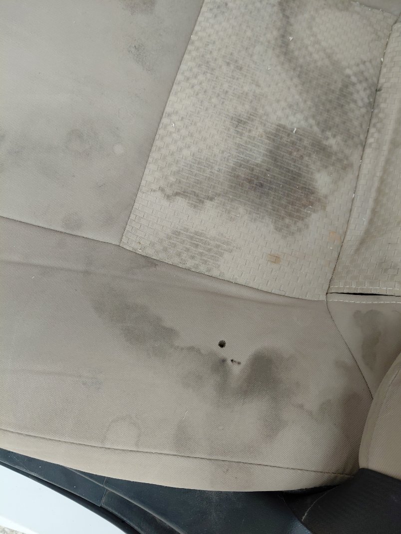 Toyota Yaris Y PLUS  2024 image