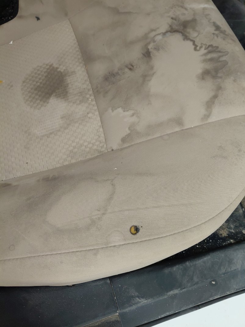 Toyota Yaris Y PLUS  2024 image