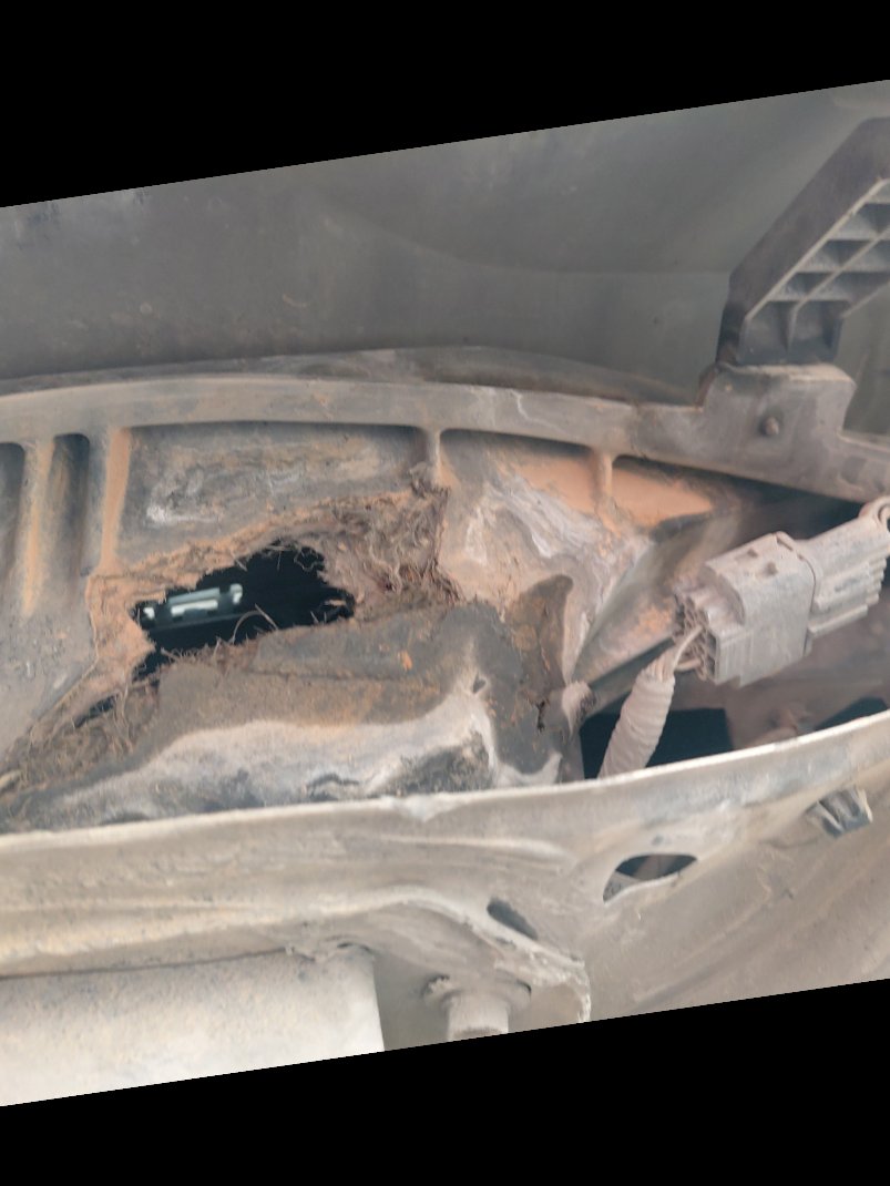 KIA Rio ال اكس 2019 image