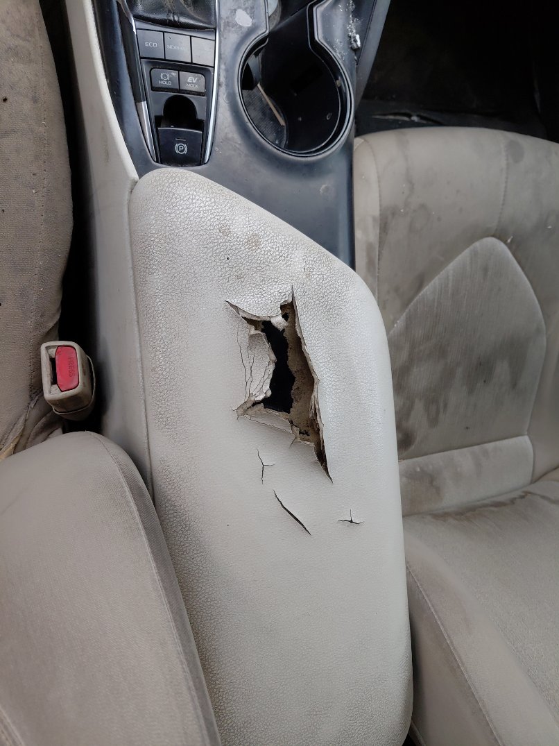 Toyota Camry LE HEV 2019 image