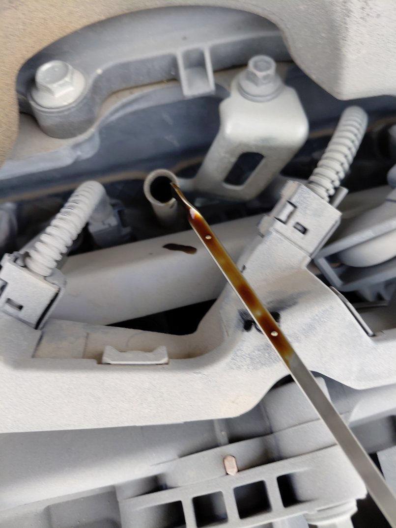 Toyota Camry LE HEV 2019 image