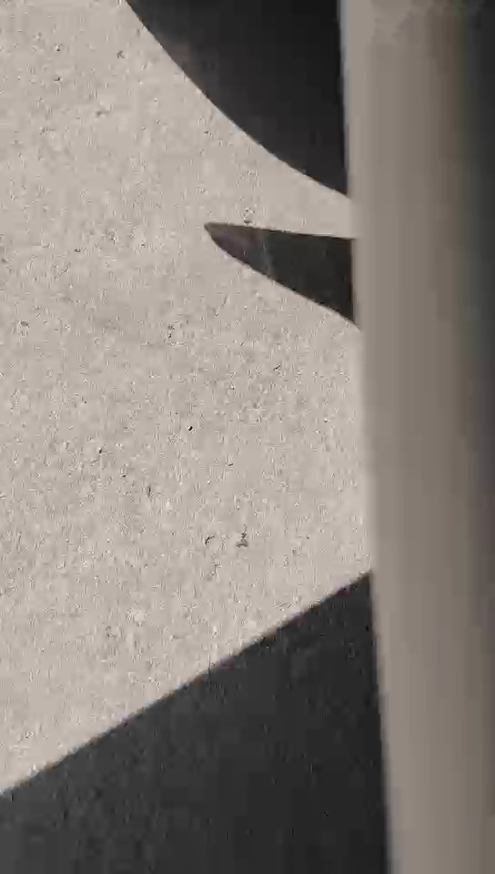 Great Wall Wingle 7  2022 video