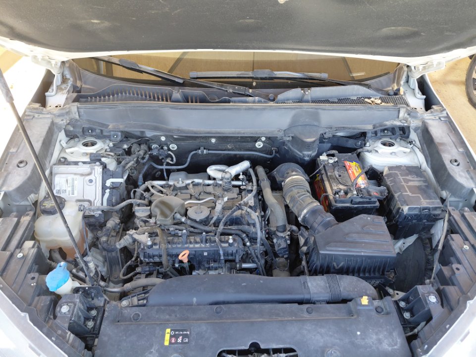 هافال H6 بريميم رياضية 2022 image