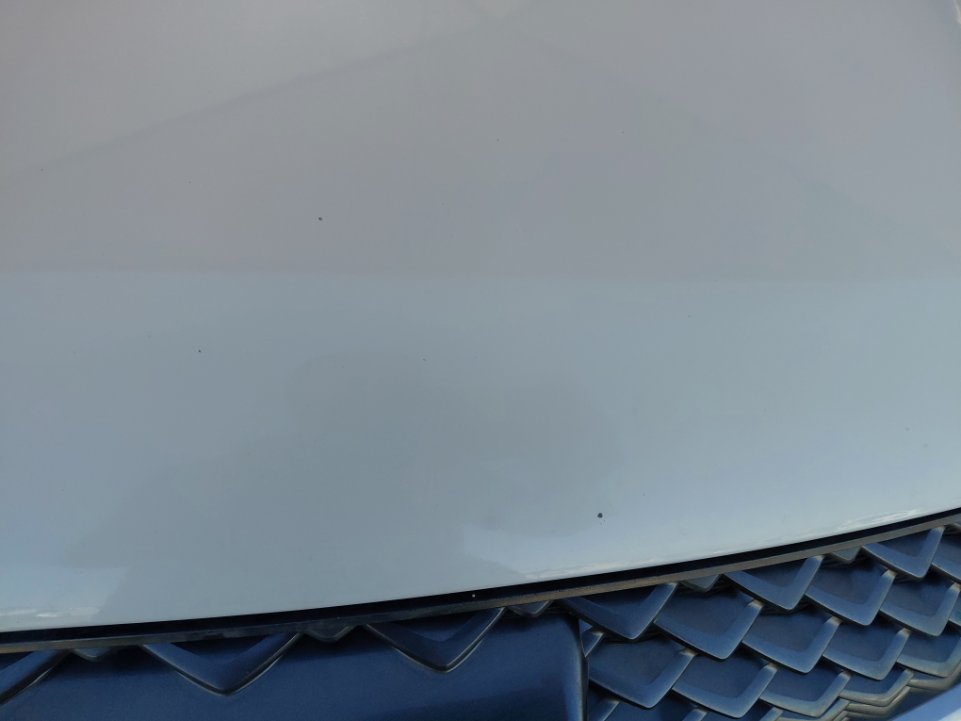 هافال H6 بريميم رياضية 2022 image