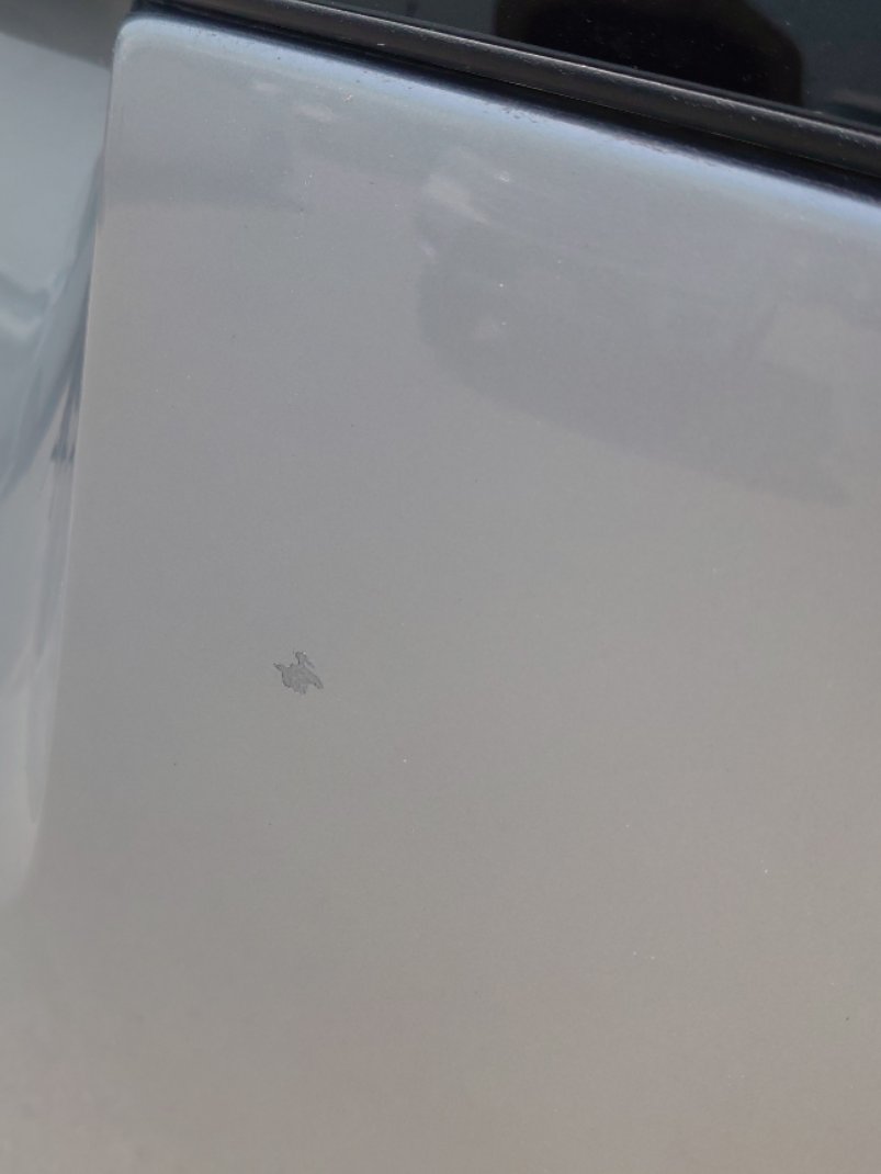 Hyundai Staria  2024 image