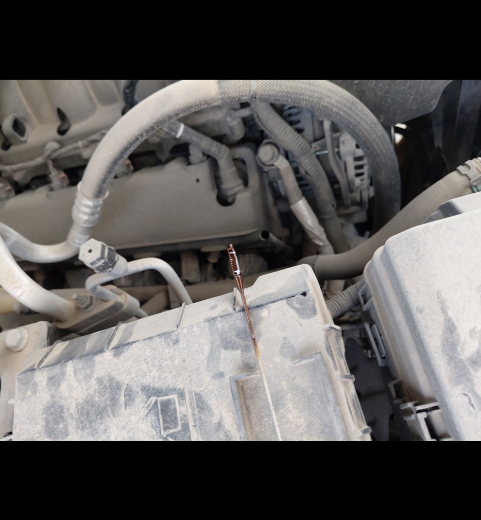 Chevrolet  Tahoe  2024 image