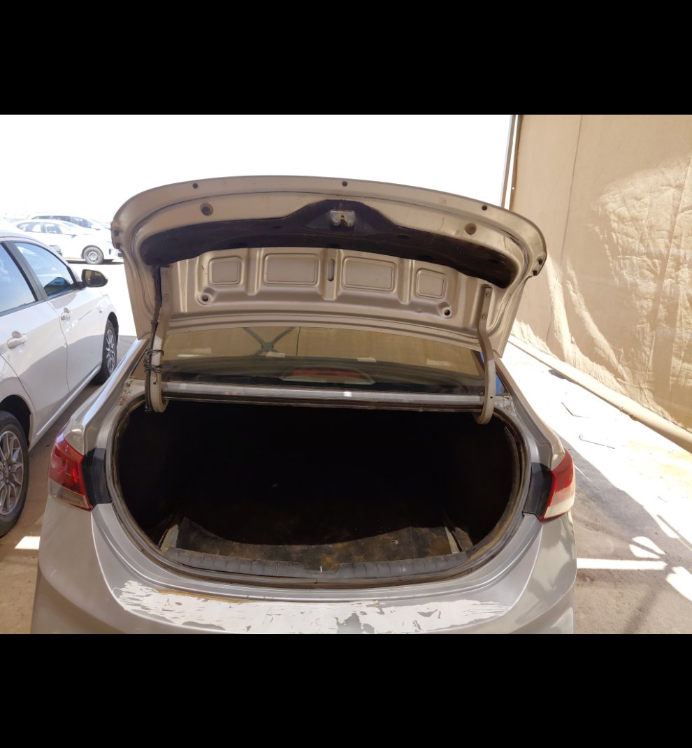 هيونداي أكسنت FLEET  2020 image