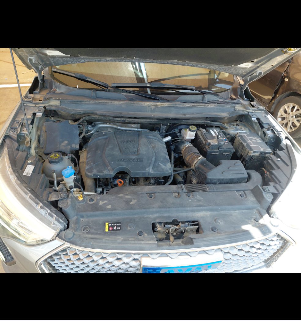 هافال جوليان بريميم رياضية 2024 image