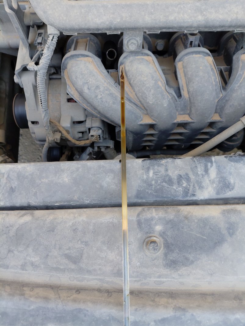 هيونداي أكسنت FLEET 2019 image