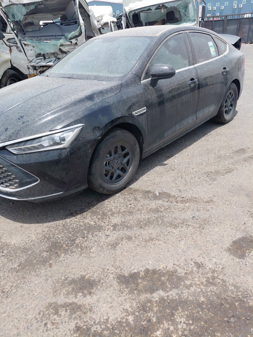بي واي دي Qin Plus  2026 image