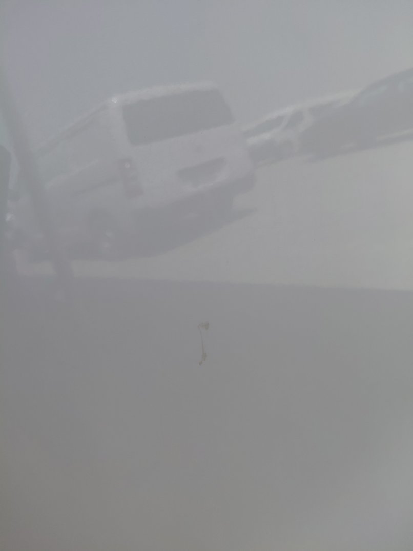 كيا سبورتاج QLE LX 4WD 2020 image