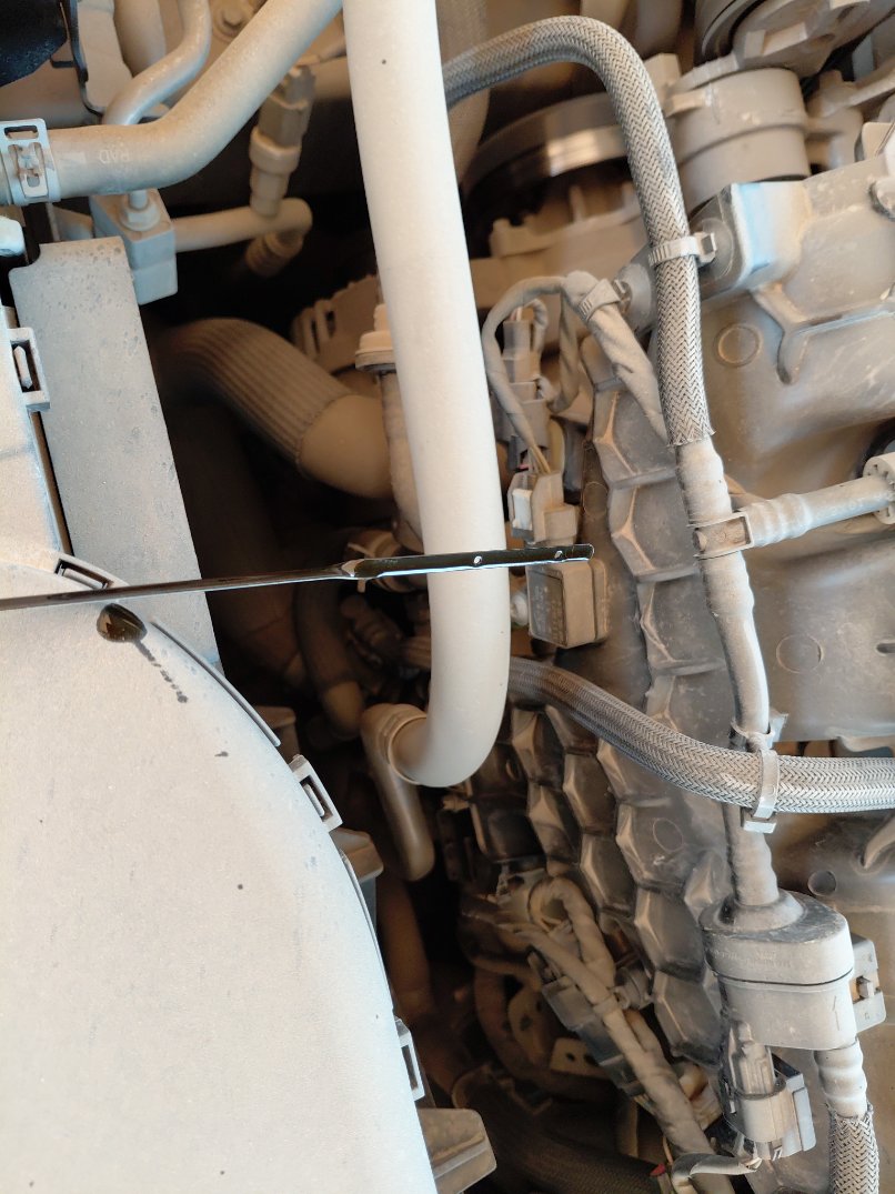 Ford Taurus  2023 image