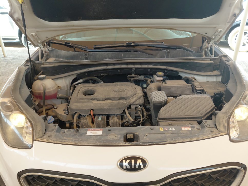 KIA Sportage QLE LX 4WD 2022 image