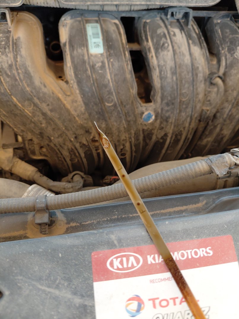KIA Sportage QLE LX 4WD 2022 image