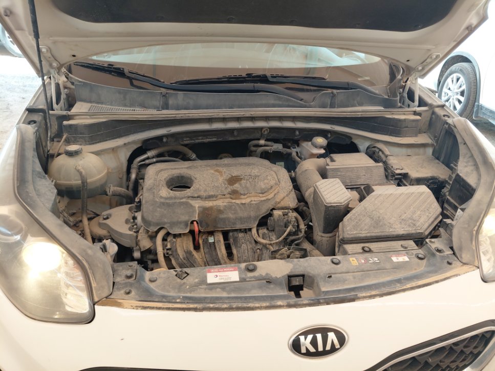 كيا سبورتاج QLE LX 4WD 2020 image