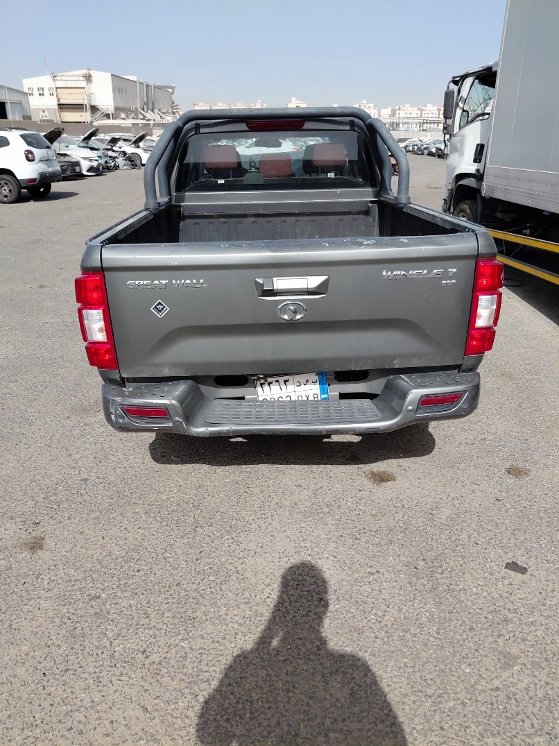 جريت وول وينجل 7  2022 image
