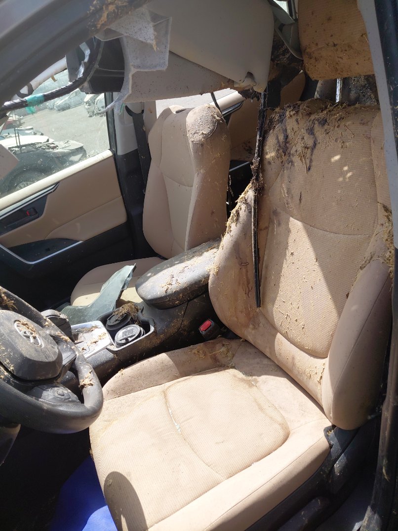 Toyota RAV4  2024 image