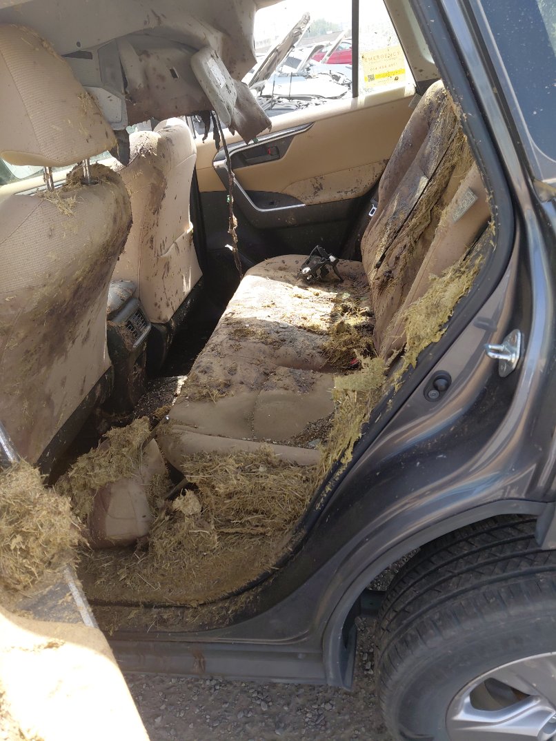 Toyota RAV4  2024 image