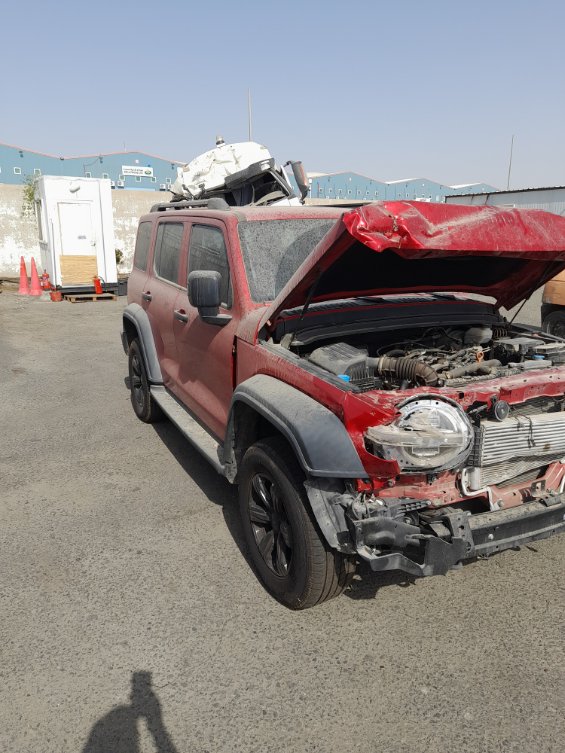 تانك 300  2023 image