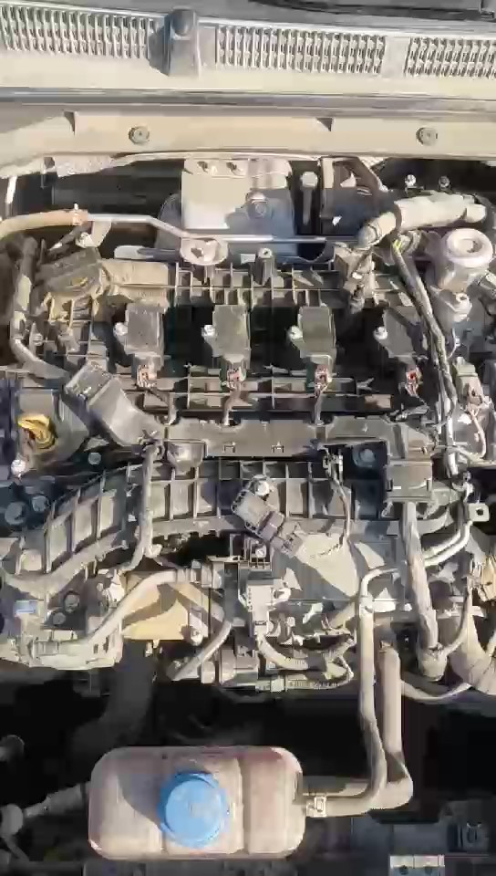 Changan Eado Plus  2023 video