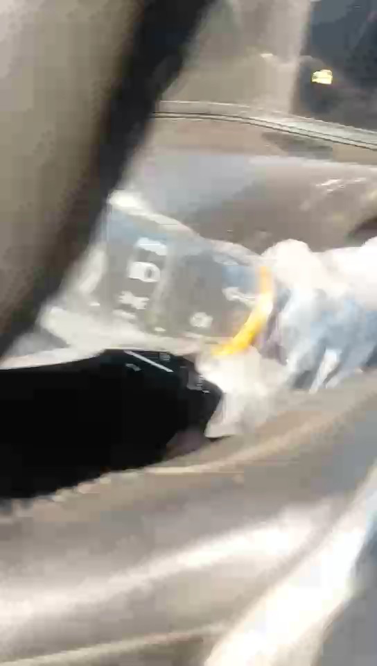 Changan Eado Plus  2023 video