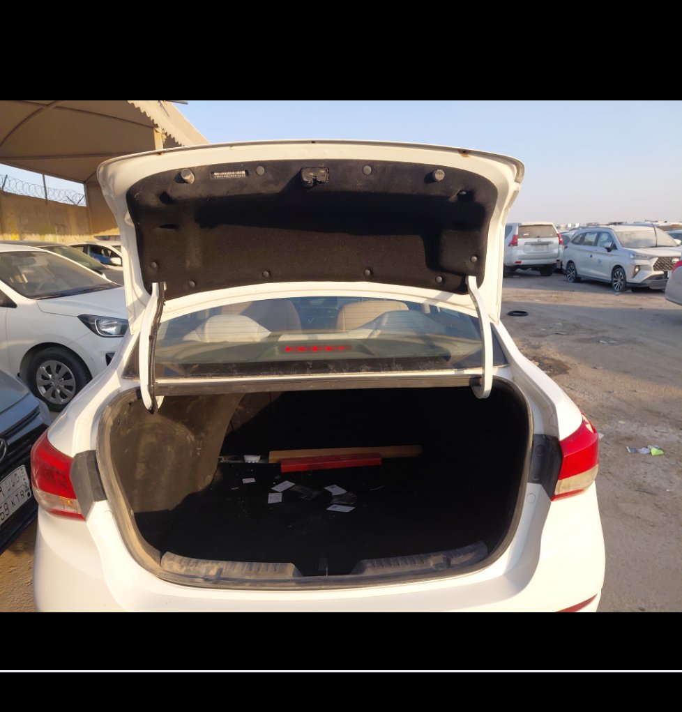 شانجان السفن عادي 2024 image