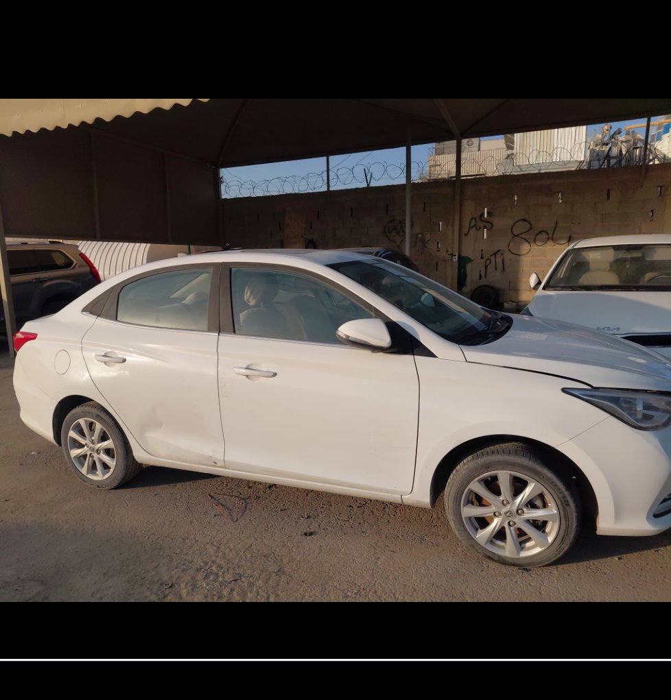 شانجان السفن عادي 2024 image